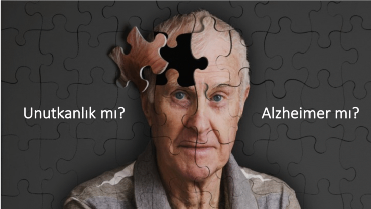 OMÜ'de Çığır Açan Araştırma