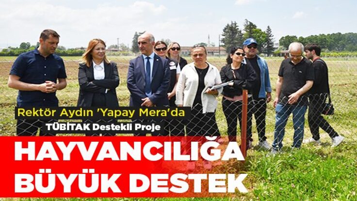 OMÜ'de Çığır Açan Araştırma