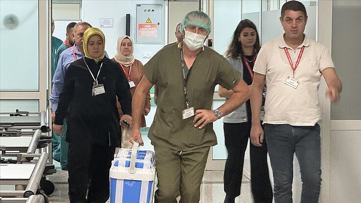 OMÜ'de Çığır Açan Araştırma