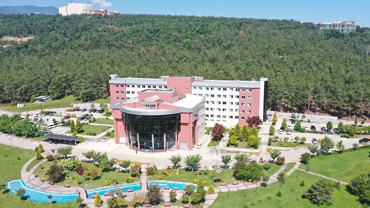 Pdf Olarak İndir 